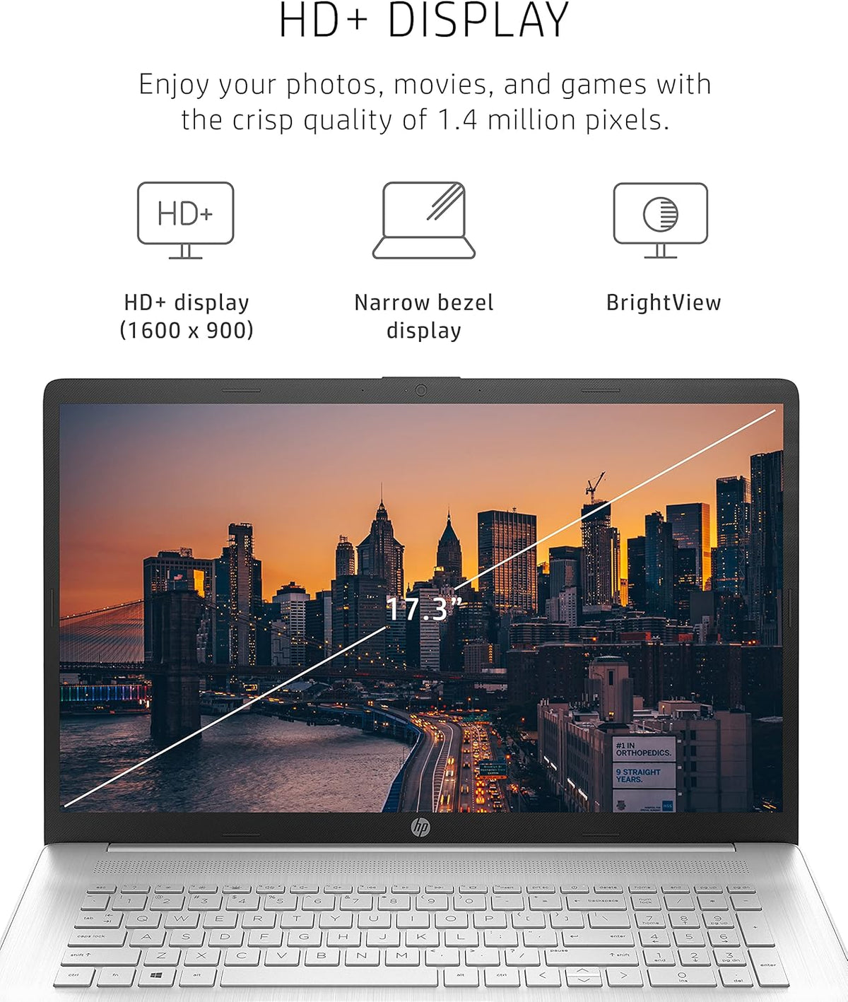 17.3-inch HD+ Display Laptop D491