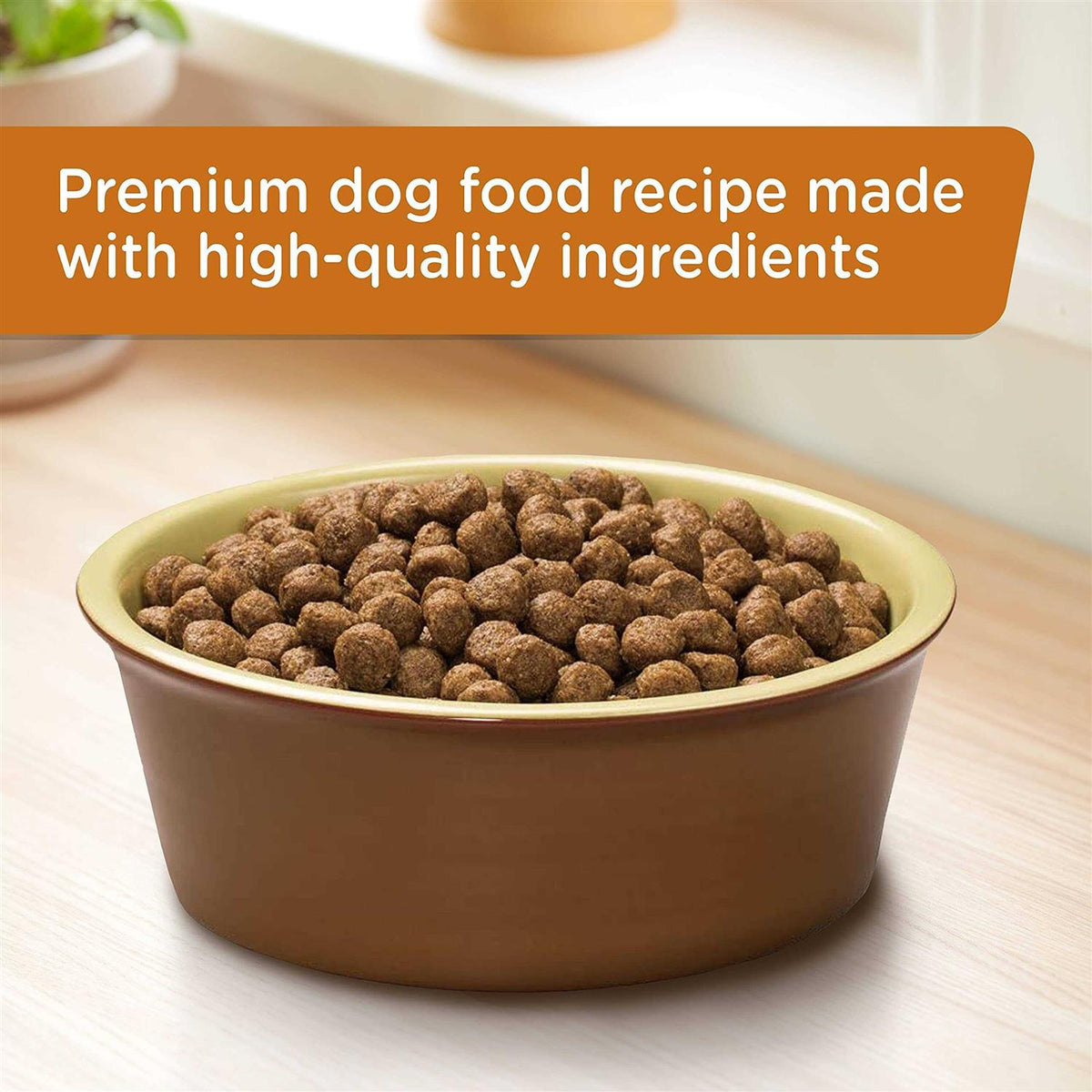 Turkey Brown Rice Dry Dog Food O21220