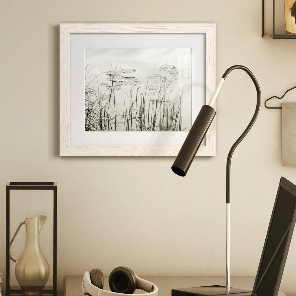 Maple Framed Print S285918