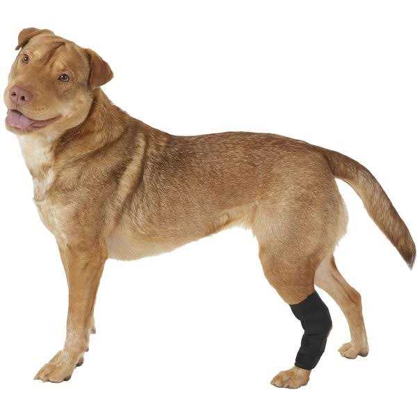 Dog Rear Leg Hock Joint Wrap Brace N827460