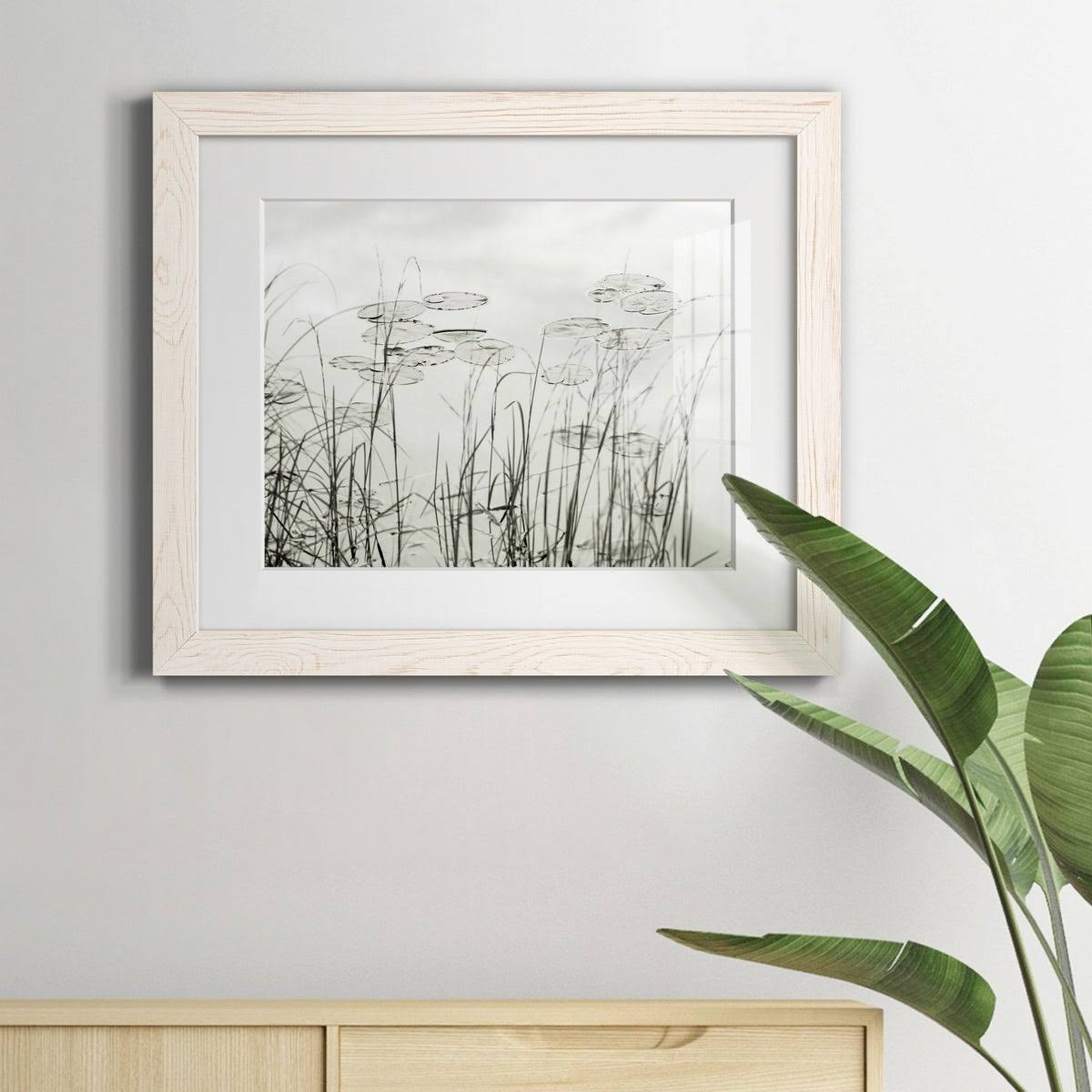 Maple Framed Print S285918