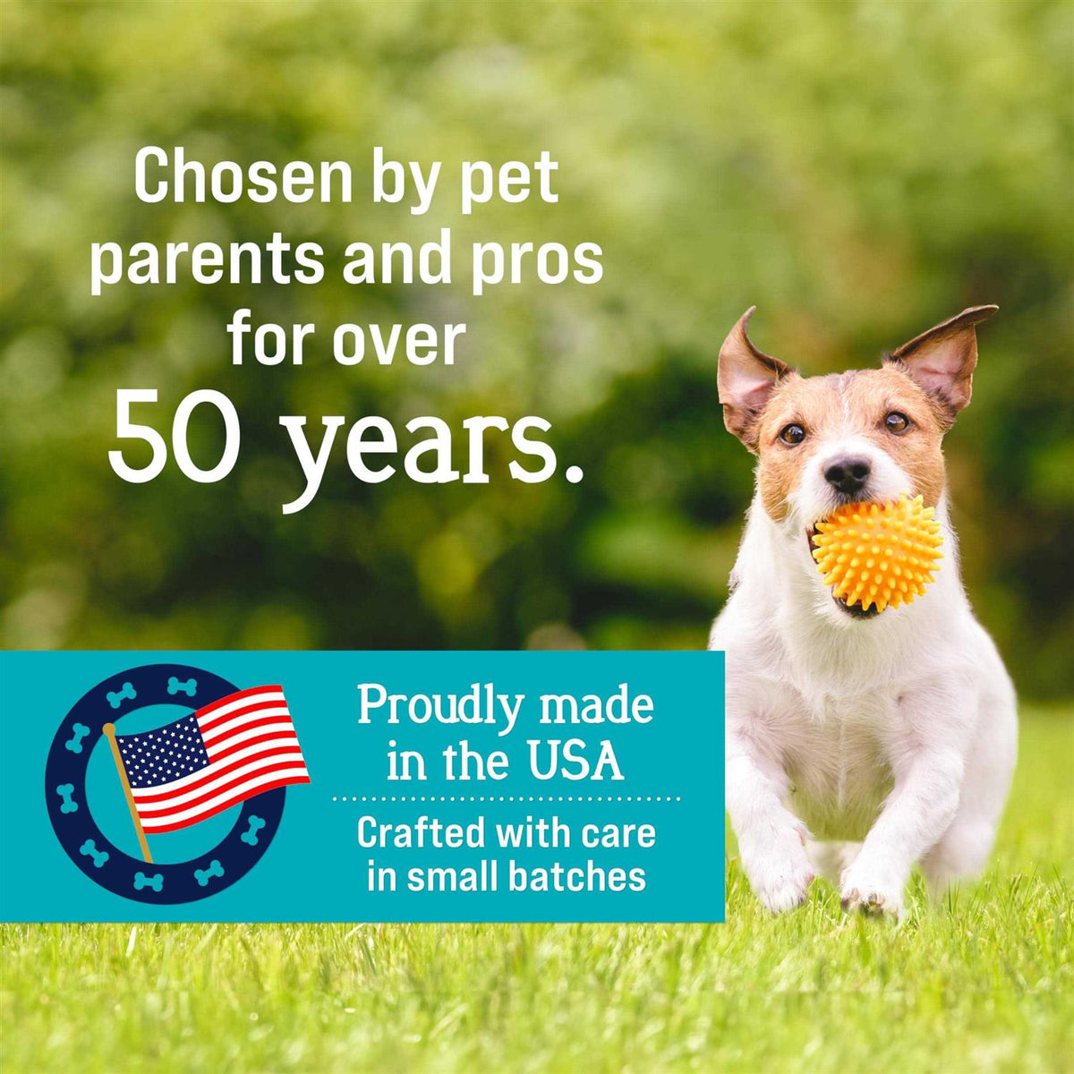 Freeze-Dried Chicken Liver Dog Treats M4119