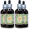 Dried Seeds Alcohol-FREE Liquid Extract 4x120 ml W294113