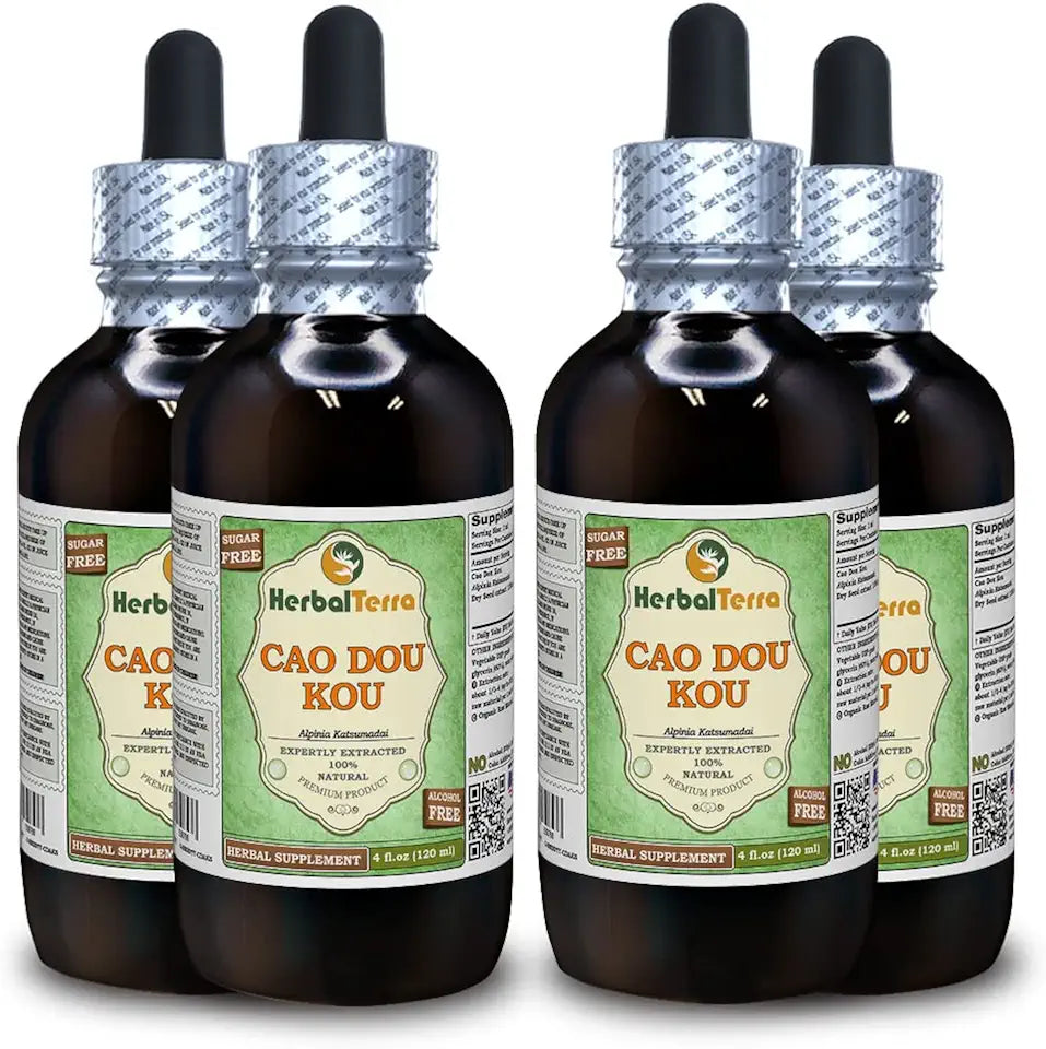 Dried Seeds Alcohol-FREE Liquid Extract 4x120 ml W294113