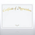 White Certificate Paper - 50 per Pack M2717