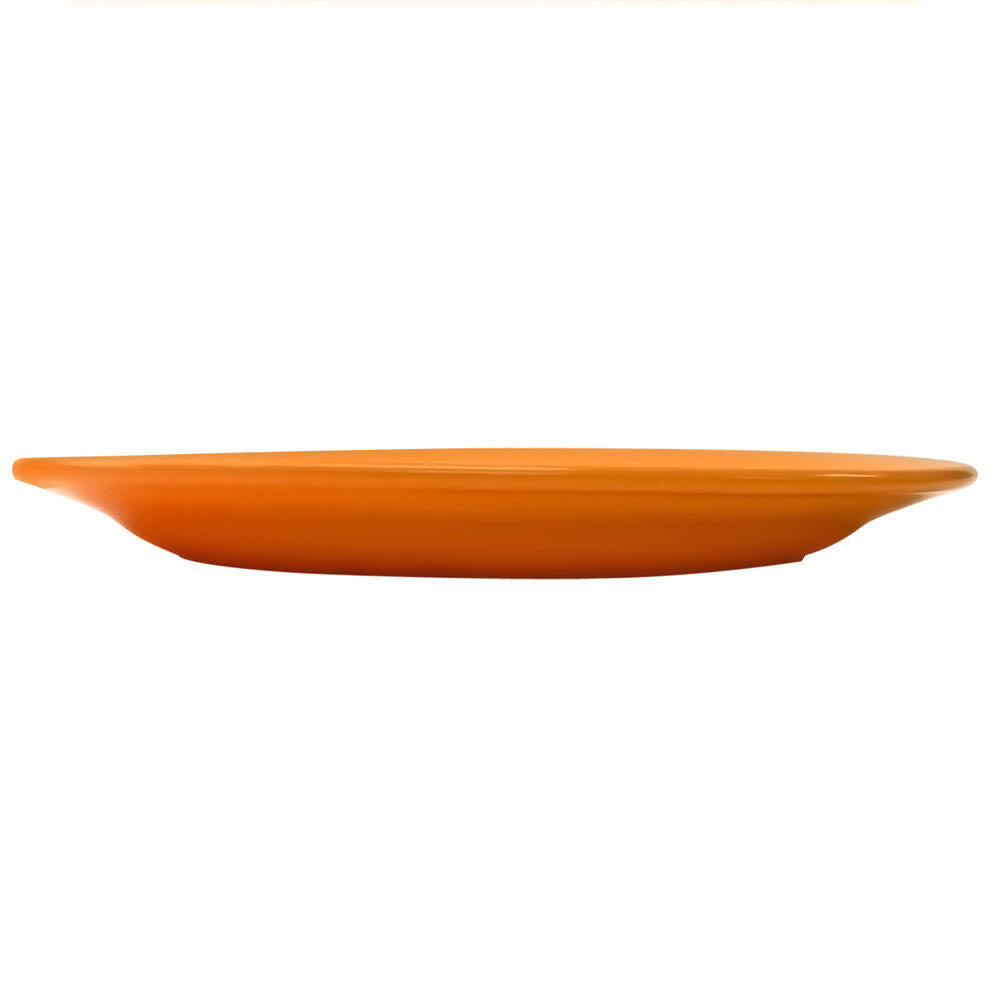 Orange Stoneware Wide Rim Platter - 12/Case E732