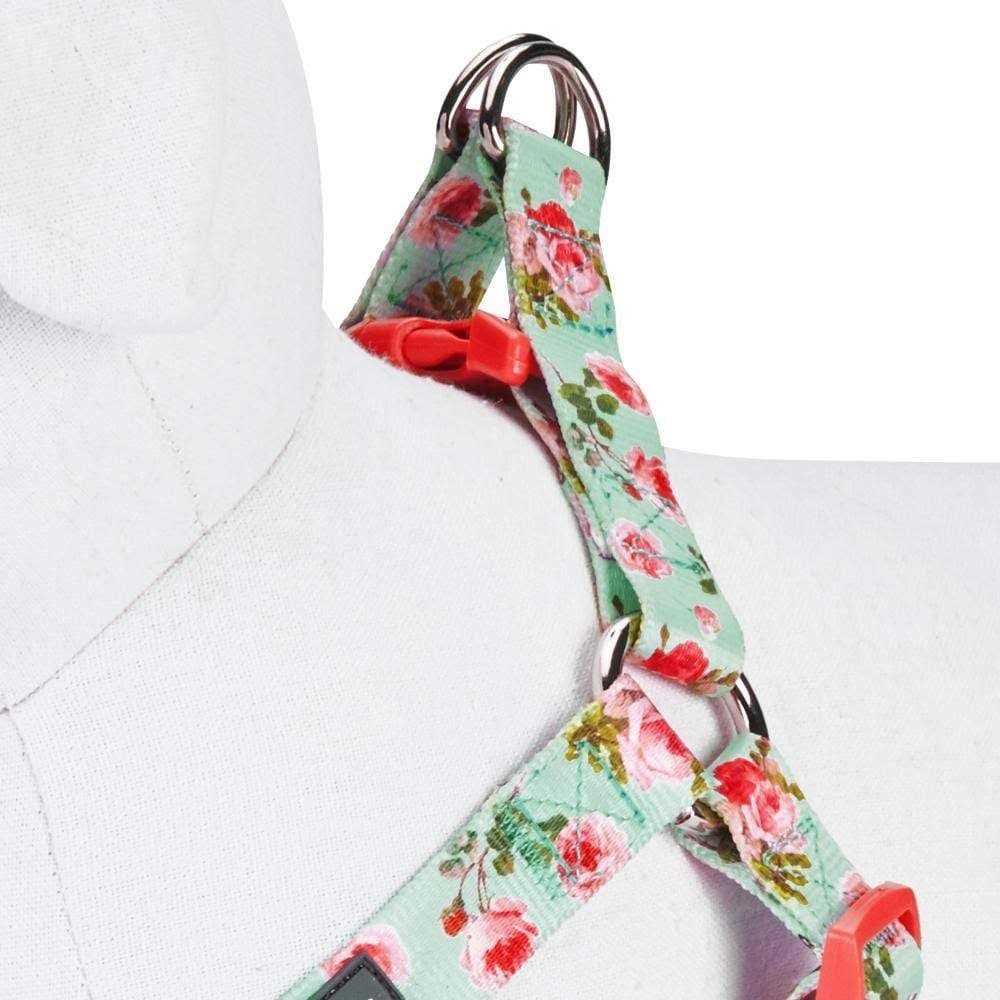 Step Dog Harness C74703