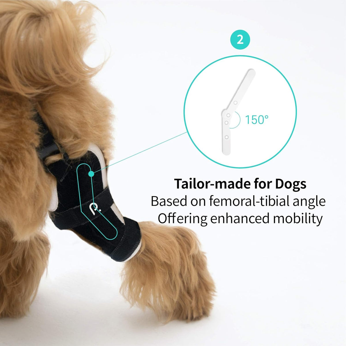 Neoprene Dog Knee Brace with Patella Tracker M262