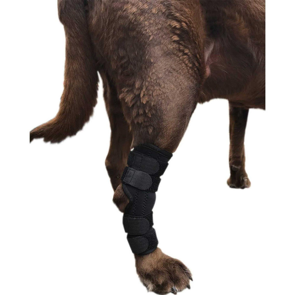 Dog Rear Leg Hock Joint Wrap Brace N827460