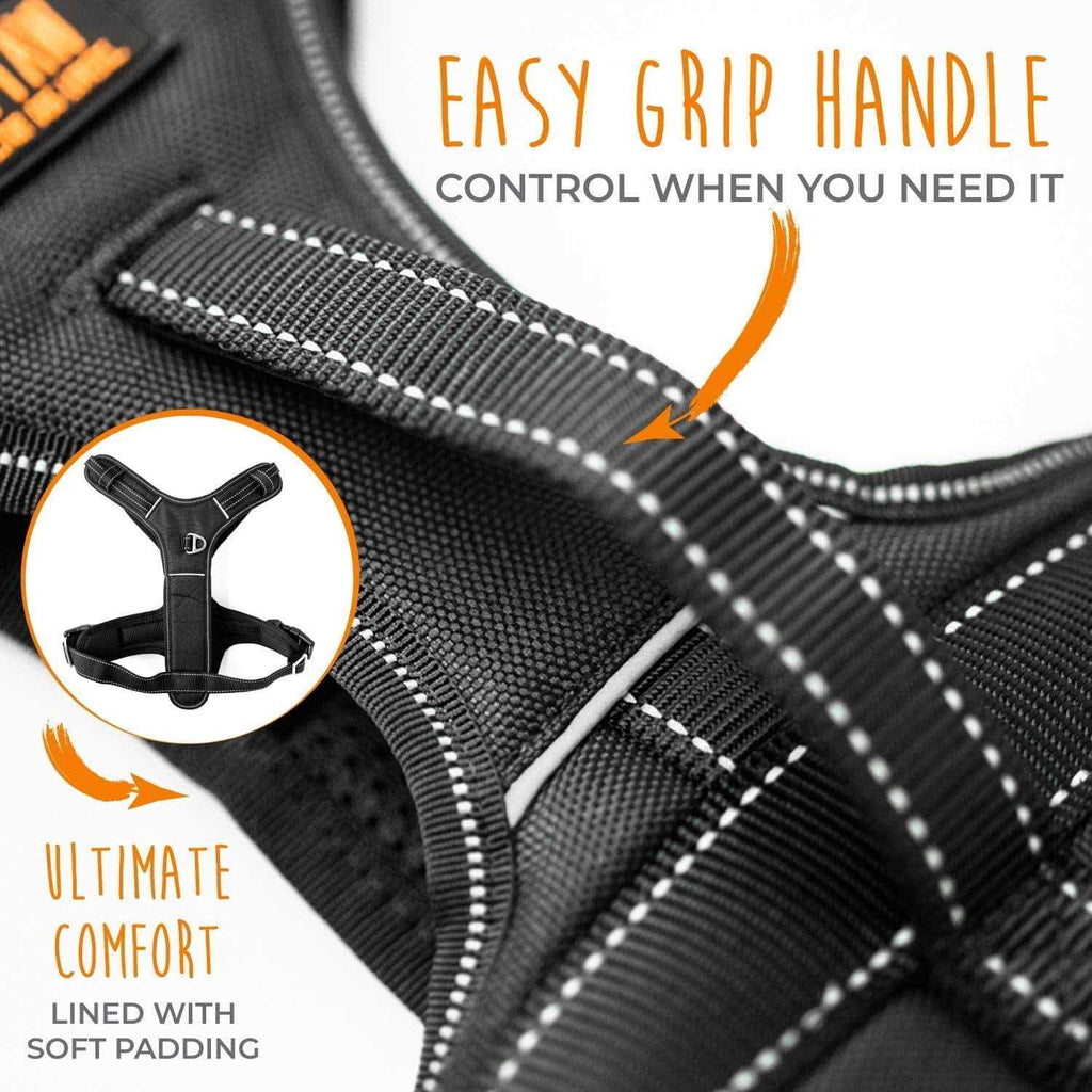 Padded Dog Harness P350