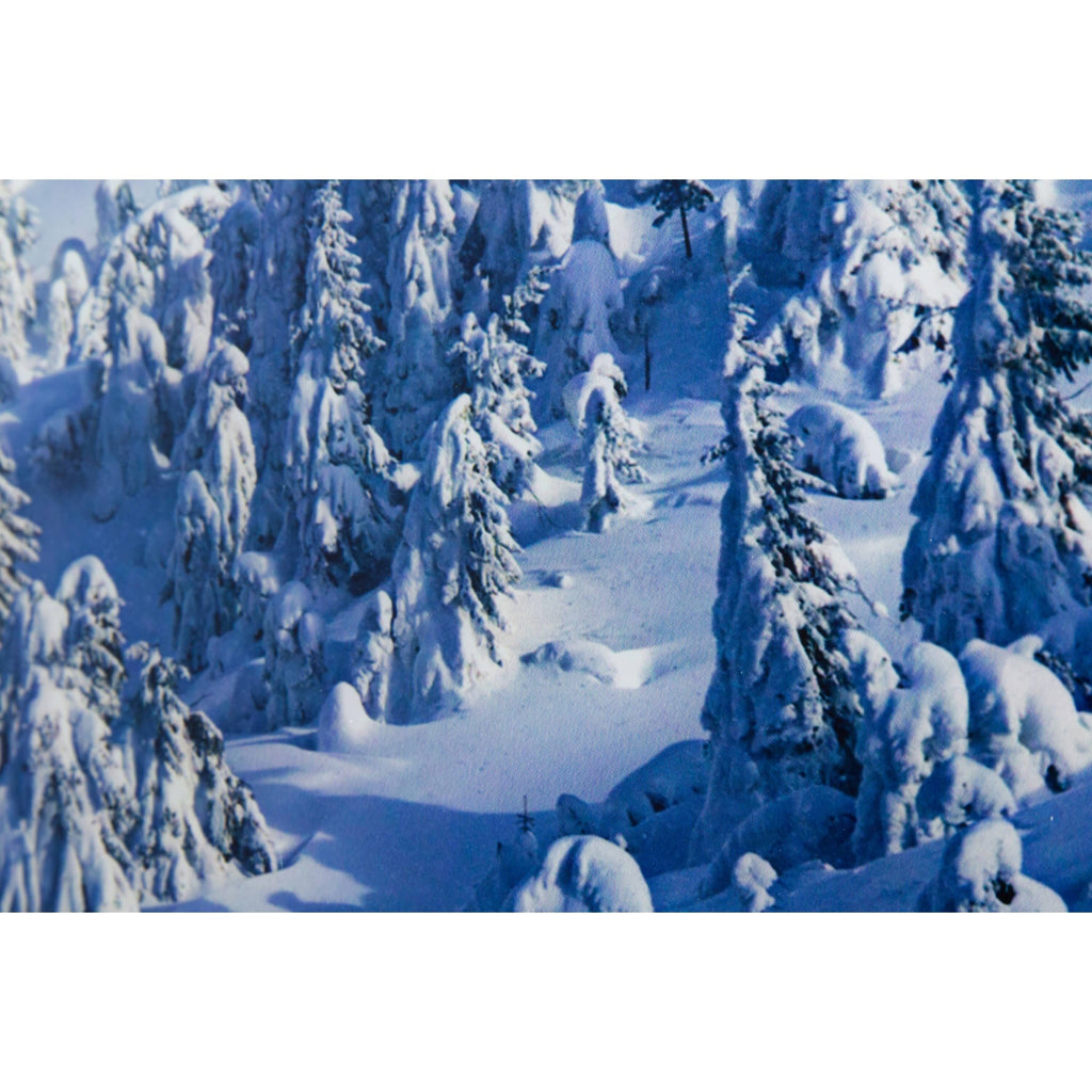 Alpine Landscape R29611
