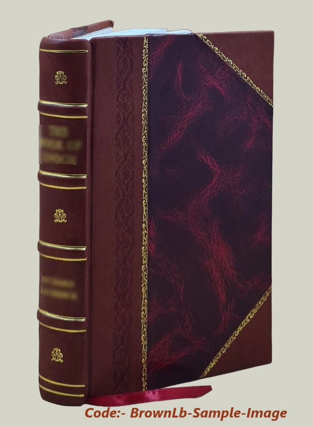 Genealogy of the Malcolm Family Leather Bound U28678