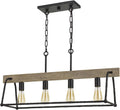 Four Light Chandelier in Black Finish I3596