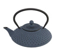 42 fl oz Blue Cast Iron Teapot F698