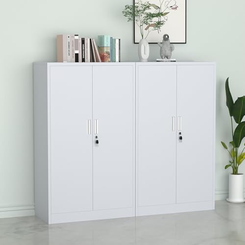Black Metal Storage Cabinet with Locking Doors and Adjustable Shelves Q763401