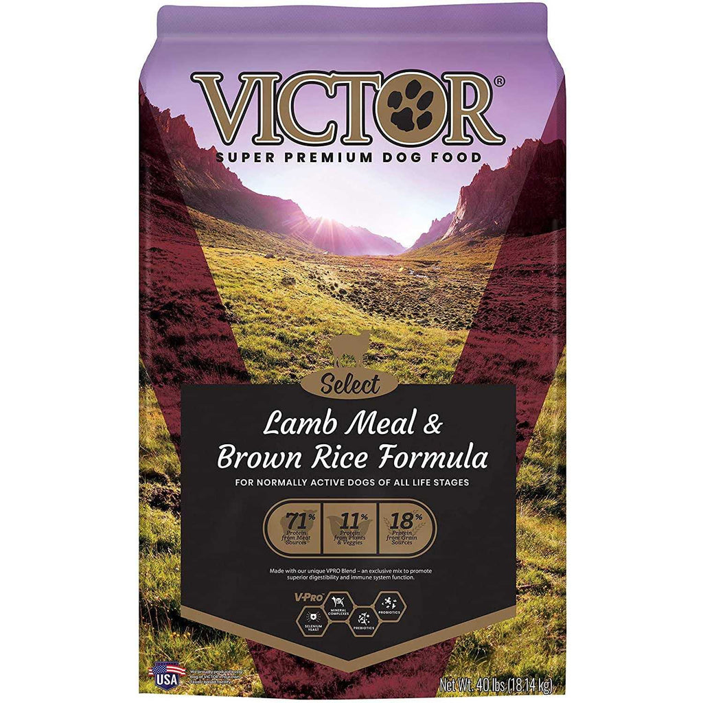 Brown Rice Lamb Meal Dry Dog Food N38185