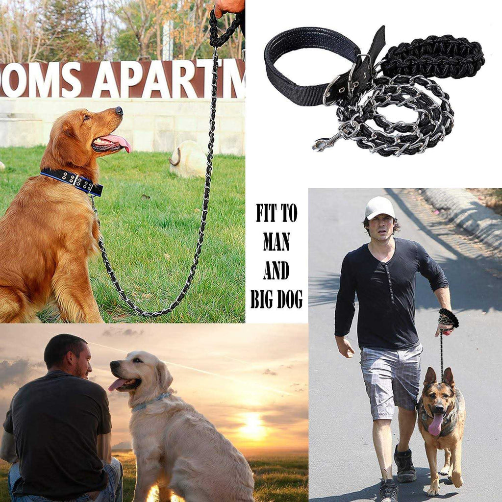 Heavy Duty Metal Dog Leash with Collar C385186