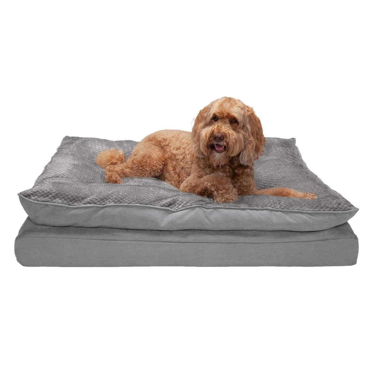 Orthopedic Dog Bed B65024