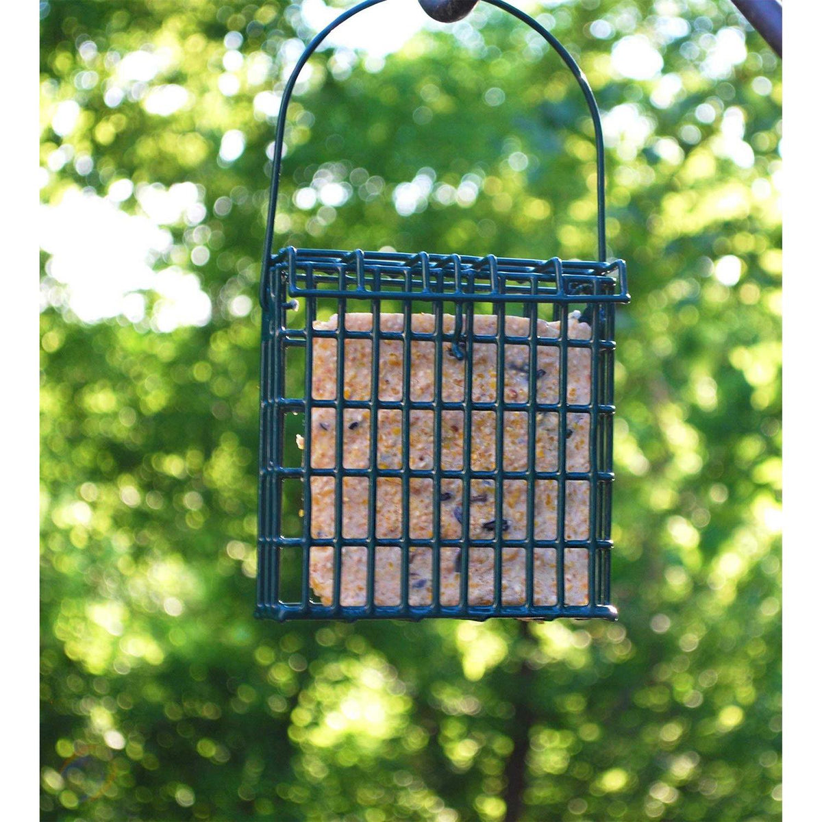 High Energy Wild Bird Suet X122