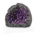 Purple Aquarium Decor V4812
