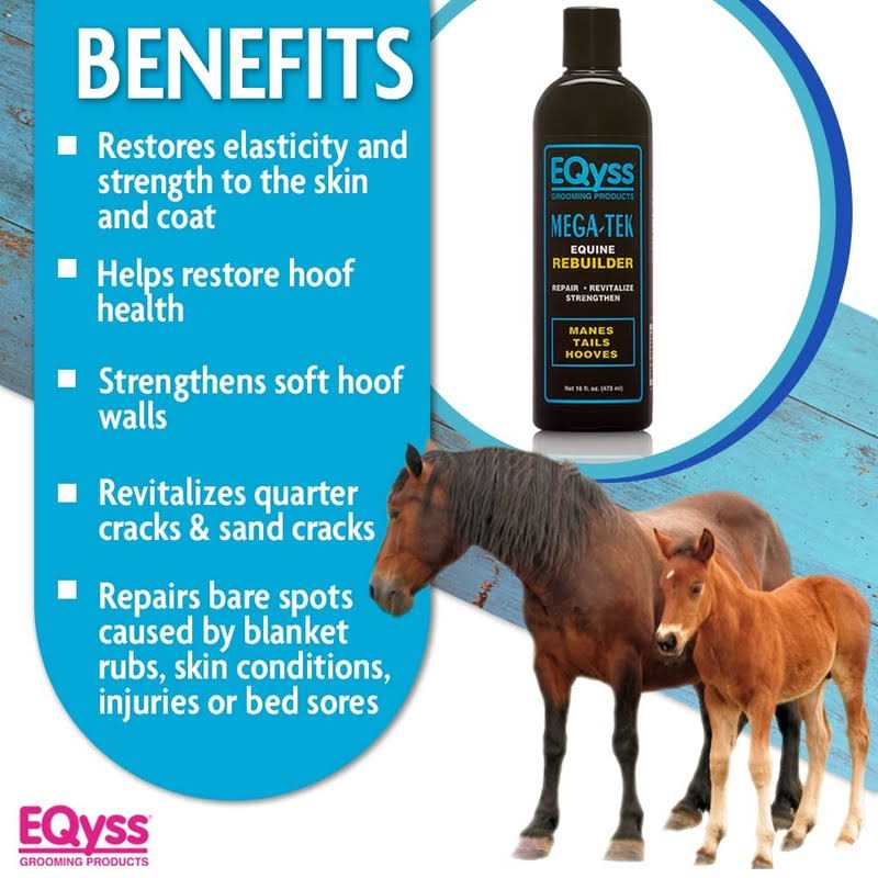 Equine Rebuilder H89326